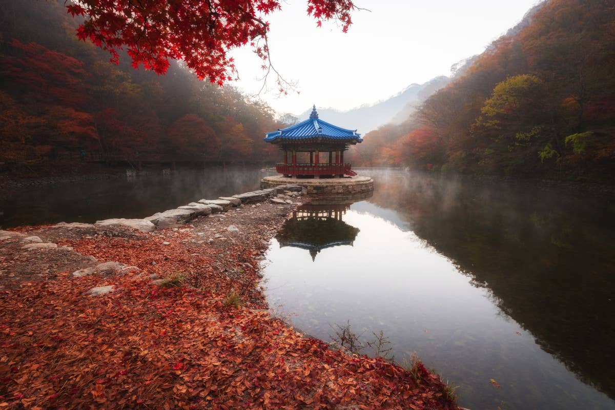 Scopri la Corea del Sud nascosta: 5 parchi nazionali da non perdere