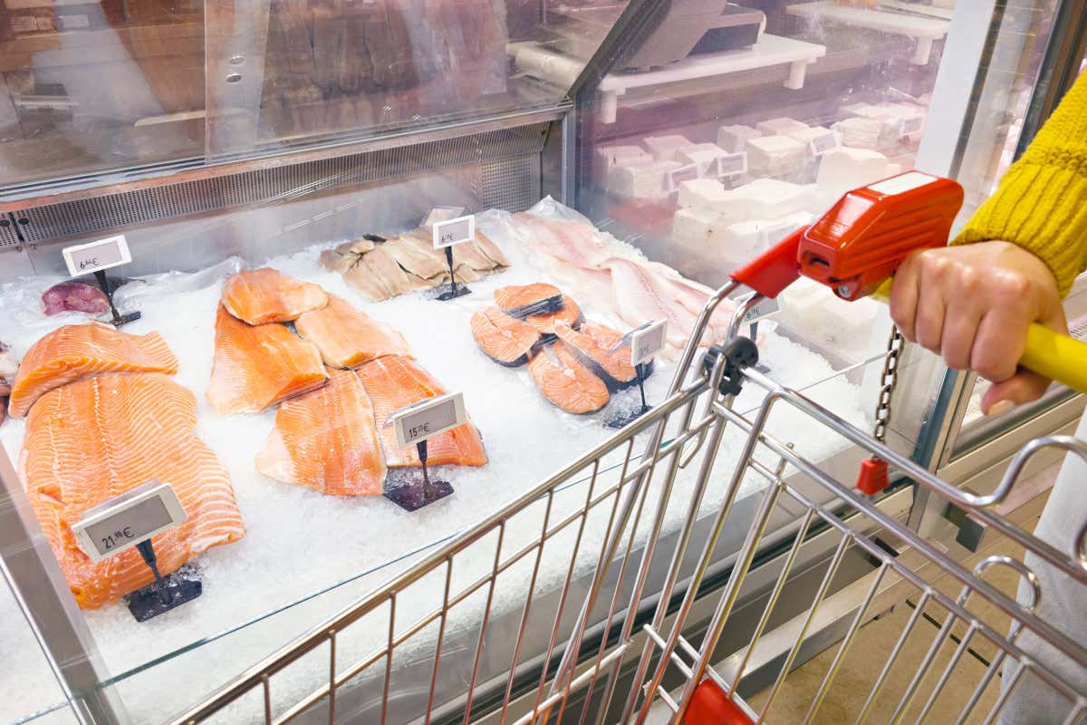 Mercato ittico oltre i 4 miliardi: cresce il salmone, cala il baccalà tradizionale