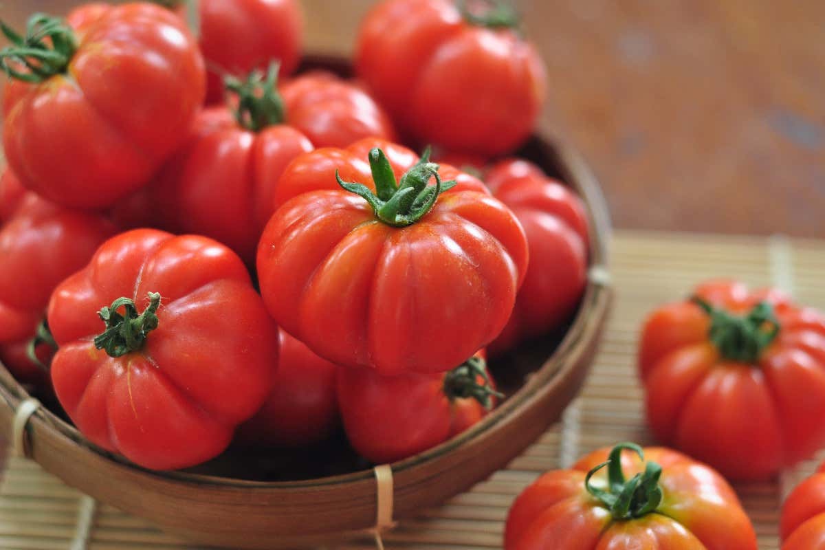 Cucina italiana e Unesco: perché il dibattito rischia di essere più povero del riconoscimento