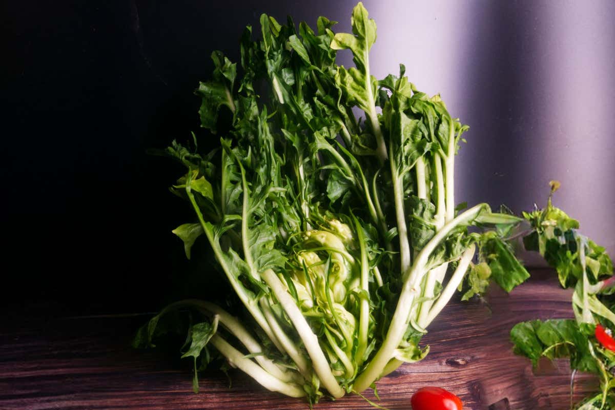 Puntarelle: proprietà nutrizionali, benefici e perché fanno bene alla salute Puntarelle: proprietà nutrizionali, benefici e perché fanno bene alla salute