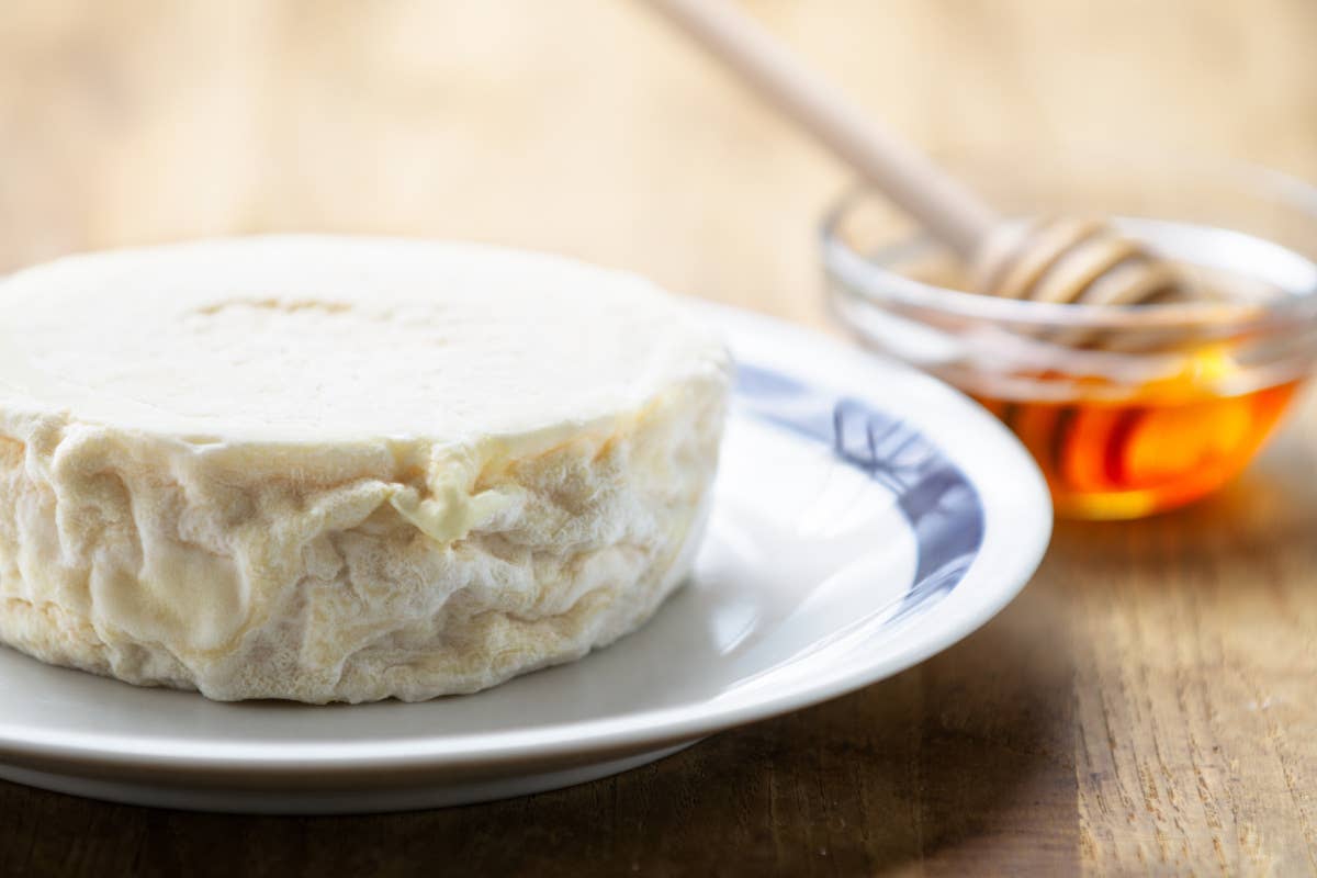 Formaggi e latticini: dal tagliere alla cucina tra cremosità e versatilità