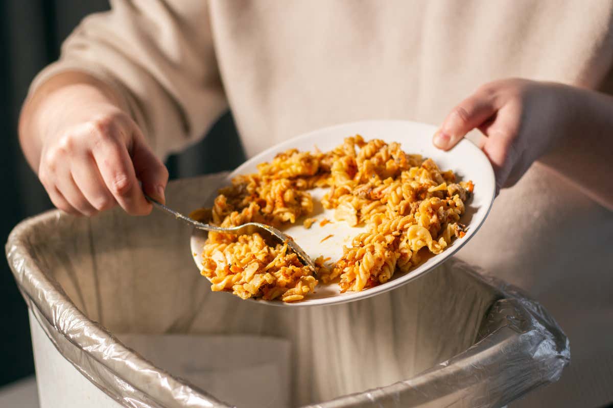 Il costo nascosto delle feste: 9 miliardi di euro di cibo buttato tra Natale e Capodanno Il costo nascosto delle feste: 9 miliardi di euro di cibo buttato tra Natale e Capodanno