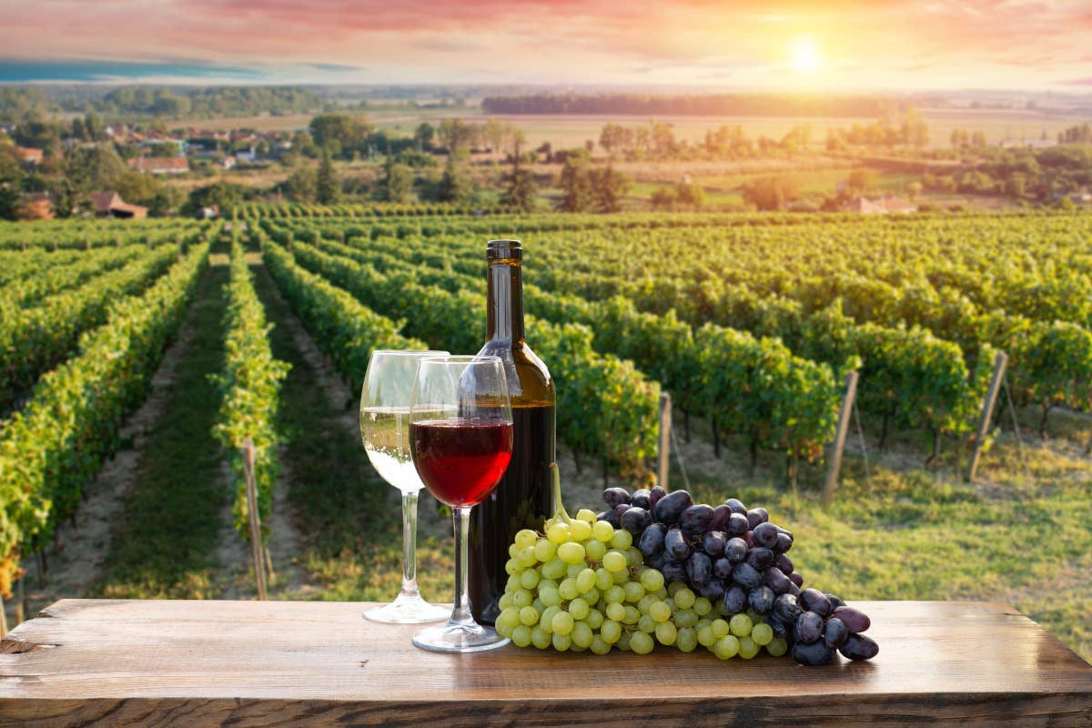 Il vino toscano è ancora solido, ma deve pensare al futuro