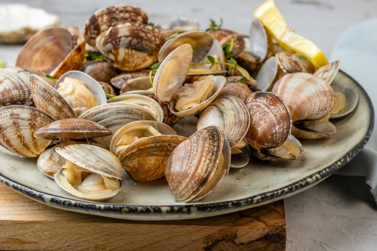 Vongole carissime e Granchio Blu: il nuovo scenario dei menu natalizi