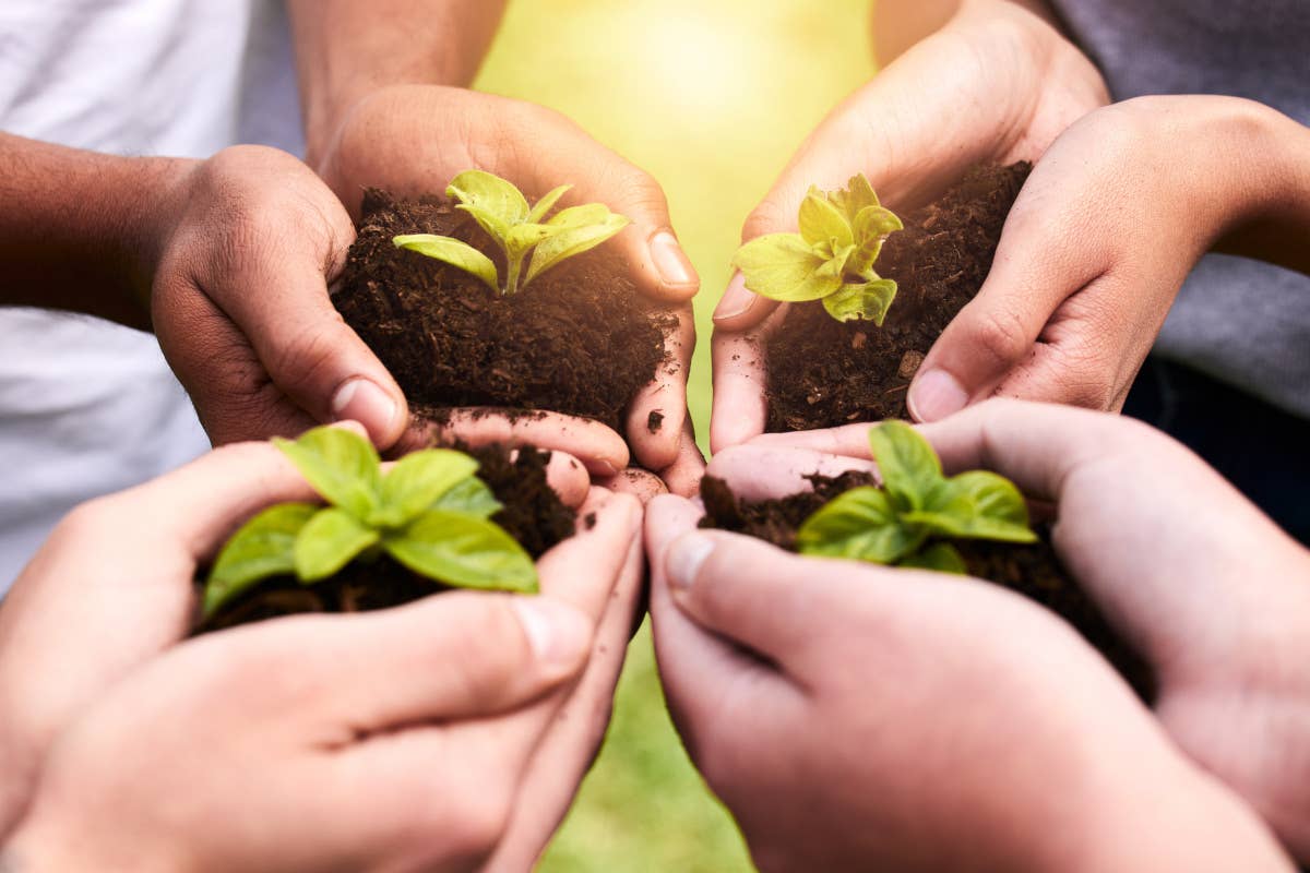 Cambiamento climatico, innovazione e giovani: i temi chiave del G7 Agricoltura