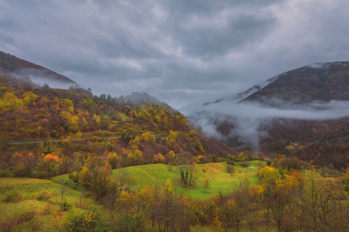 L'autunno dal finestrino: in treno verso cinque foreste italiane