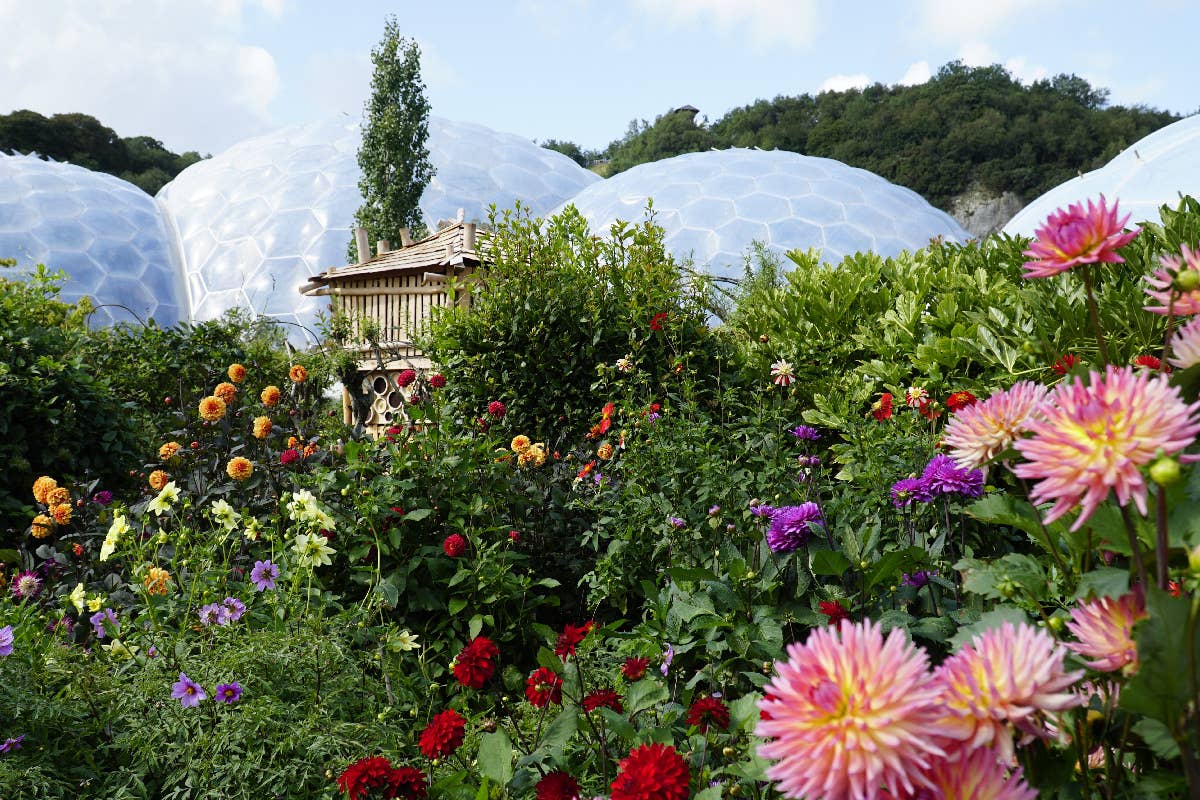 Gran Bretagna in Fiore: un viaggio tra “Flower Show” e giardini botanici