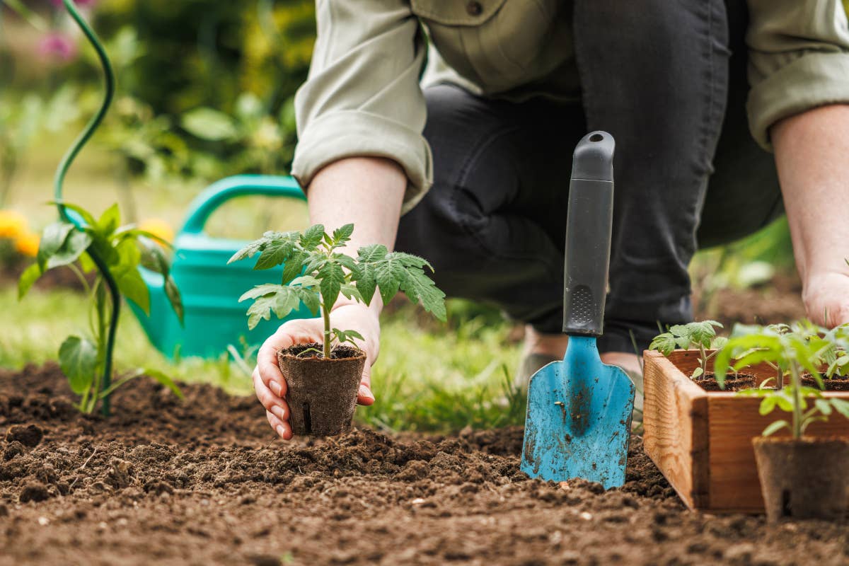 In Lombardia orti come cura naturale per anziani e per la salute mentale