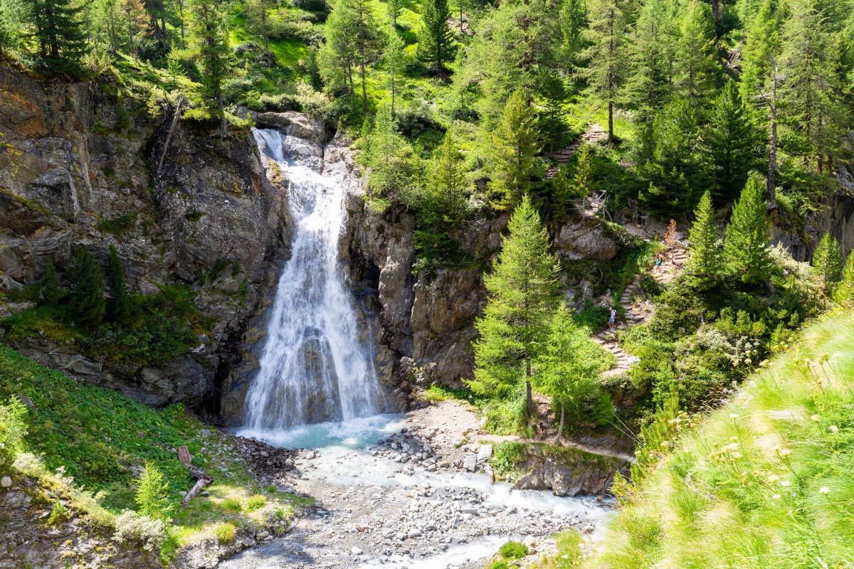 I Consorzi forestali della Lombardia: custodi del verde e della sicurezza ambientale