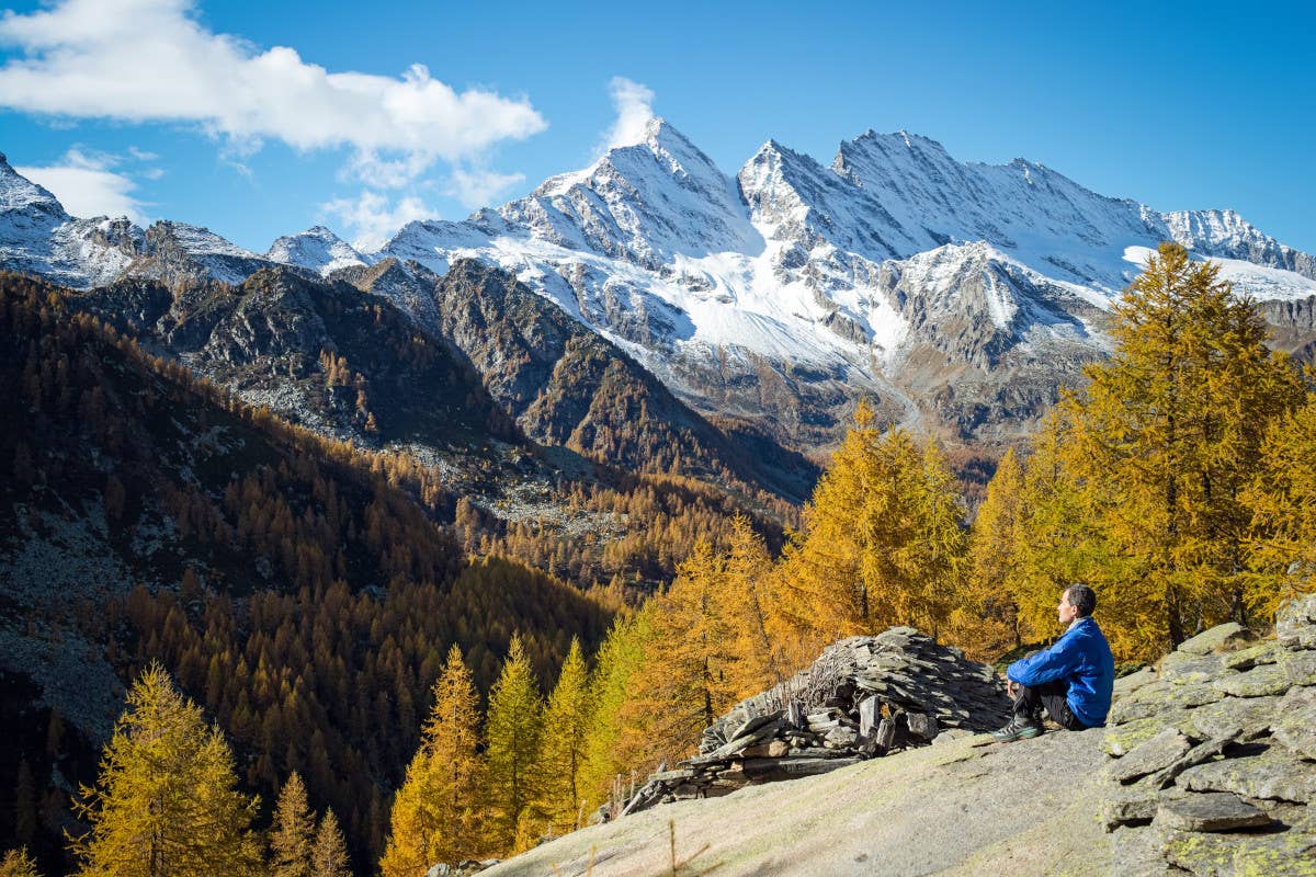 L'autunno dal finestrino: in treno verso cinque foreste italiane