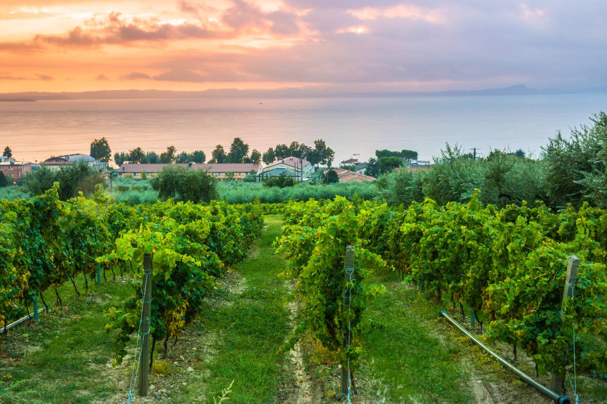 Lago di Garda, quale futuro? Per rilanciare il turismo infrastrutture e nuovi mercati