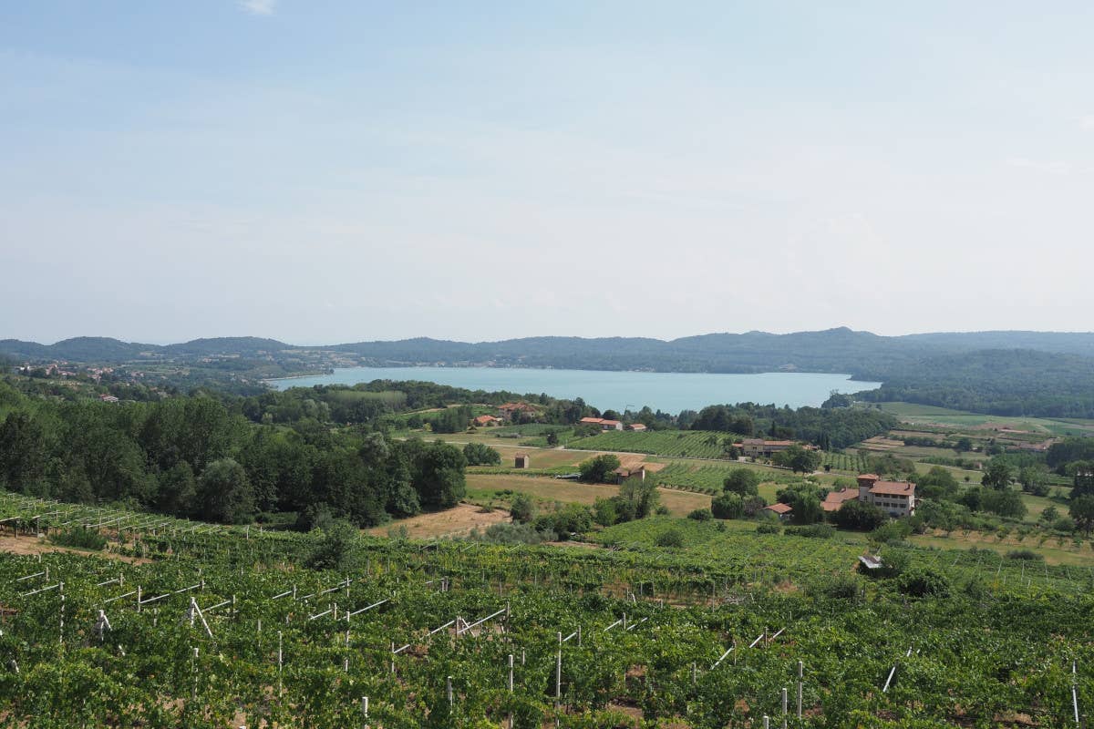 Cammina, pedala e gusta: le avventure sulla Via Francigena del Canavese