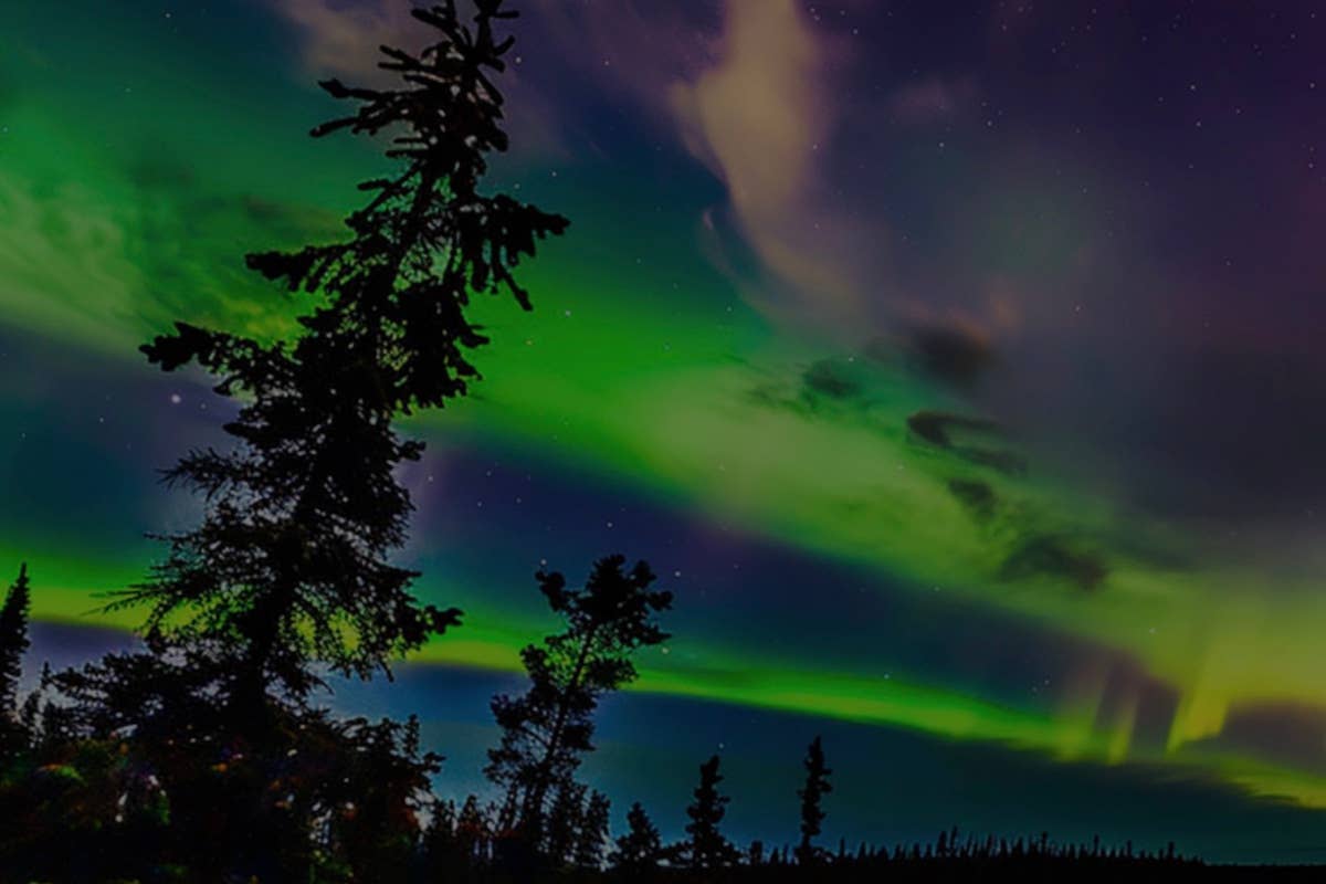 Guarda le aurore boreali da un comodo letto: benvenuti al Lights of Lapland Resort