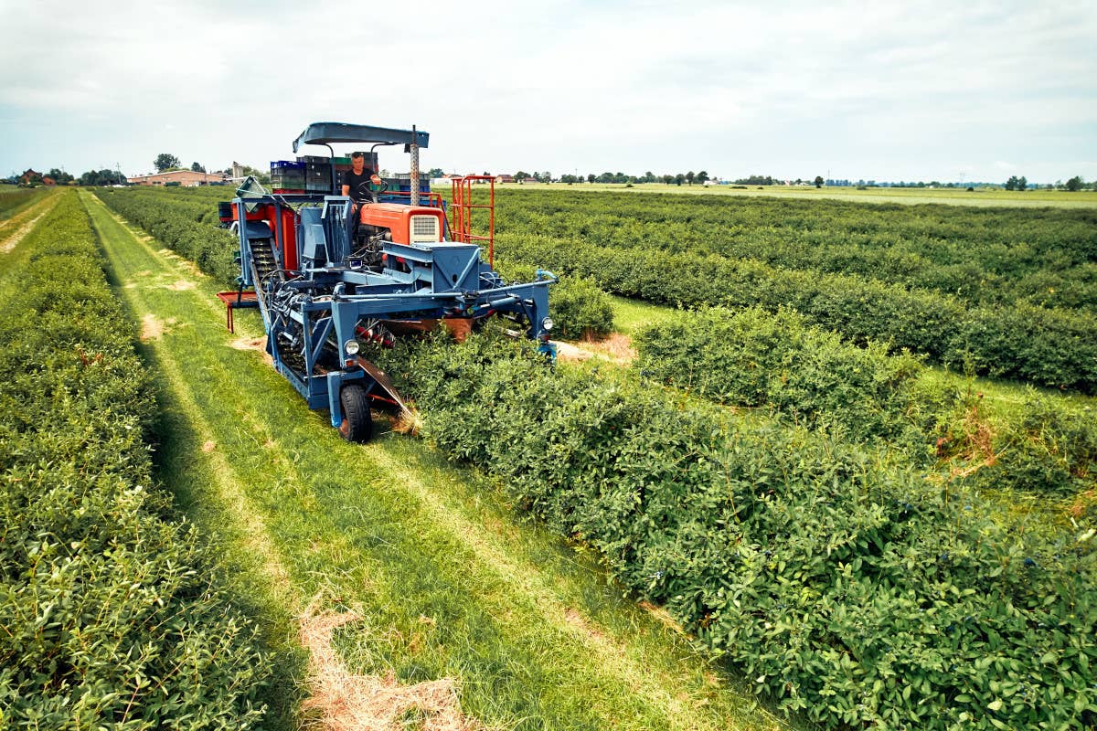 In Lombardia aziende agricole moderne: 24 milioni di euro per nuovi macchinari