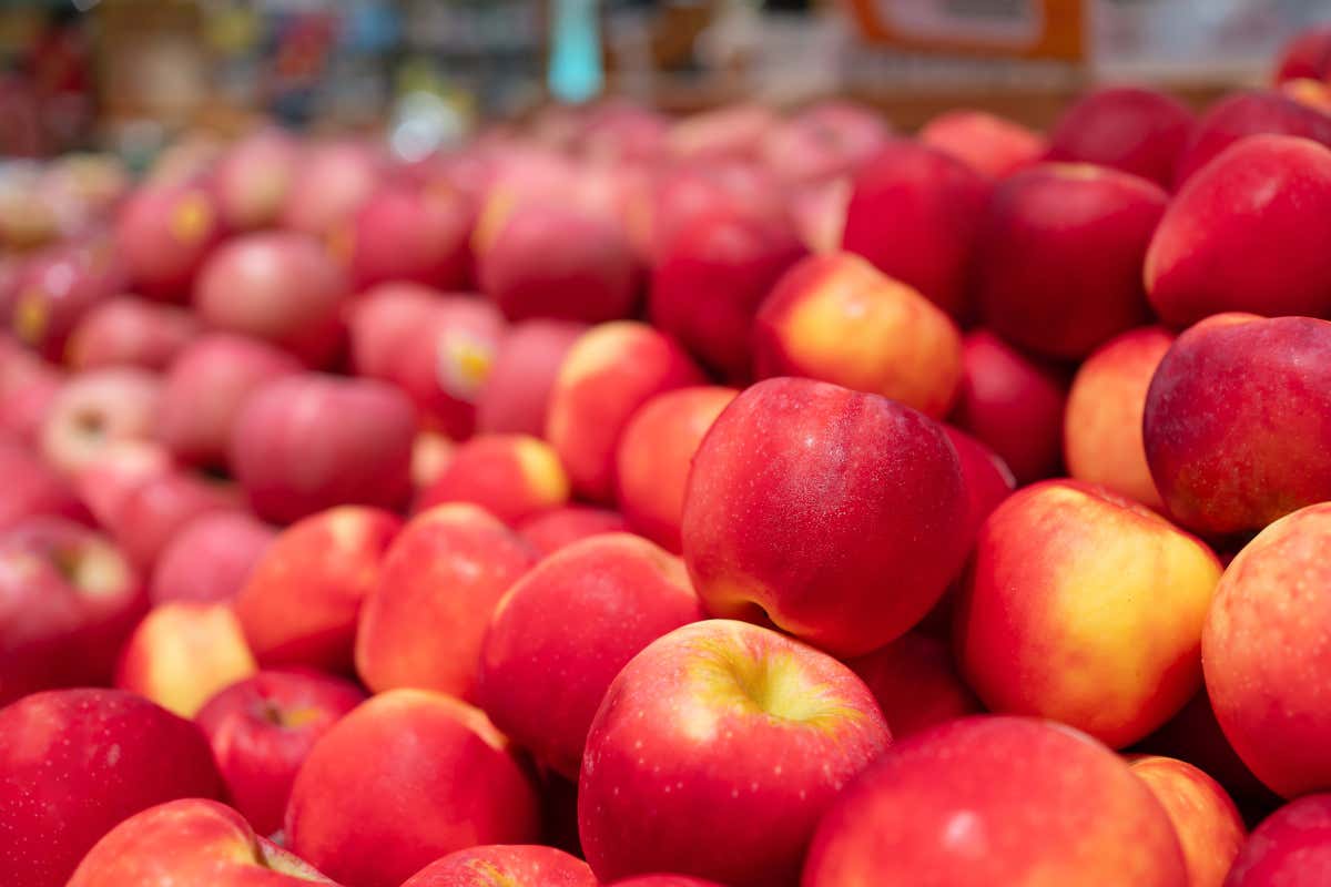 Mela, il frutto d’oro della salute e della cucina italiana vola anche nell'export