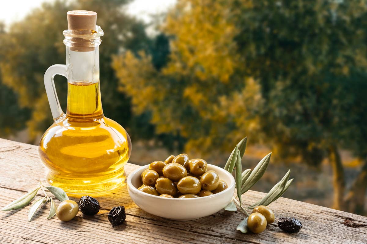 Olio Evo: dal ristoratore al consumatore, serve un cambio di passo per il 2025