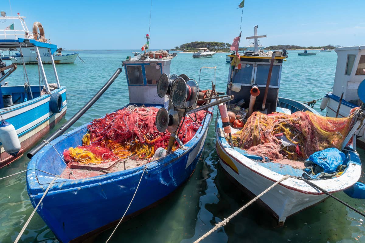 Le tradizioni di pesca in Italia provano a entrare nell'Unesco