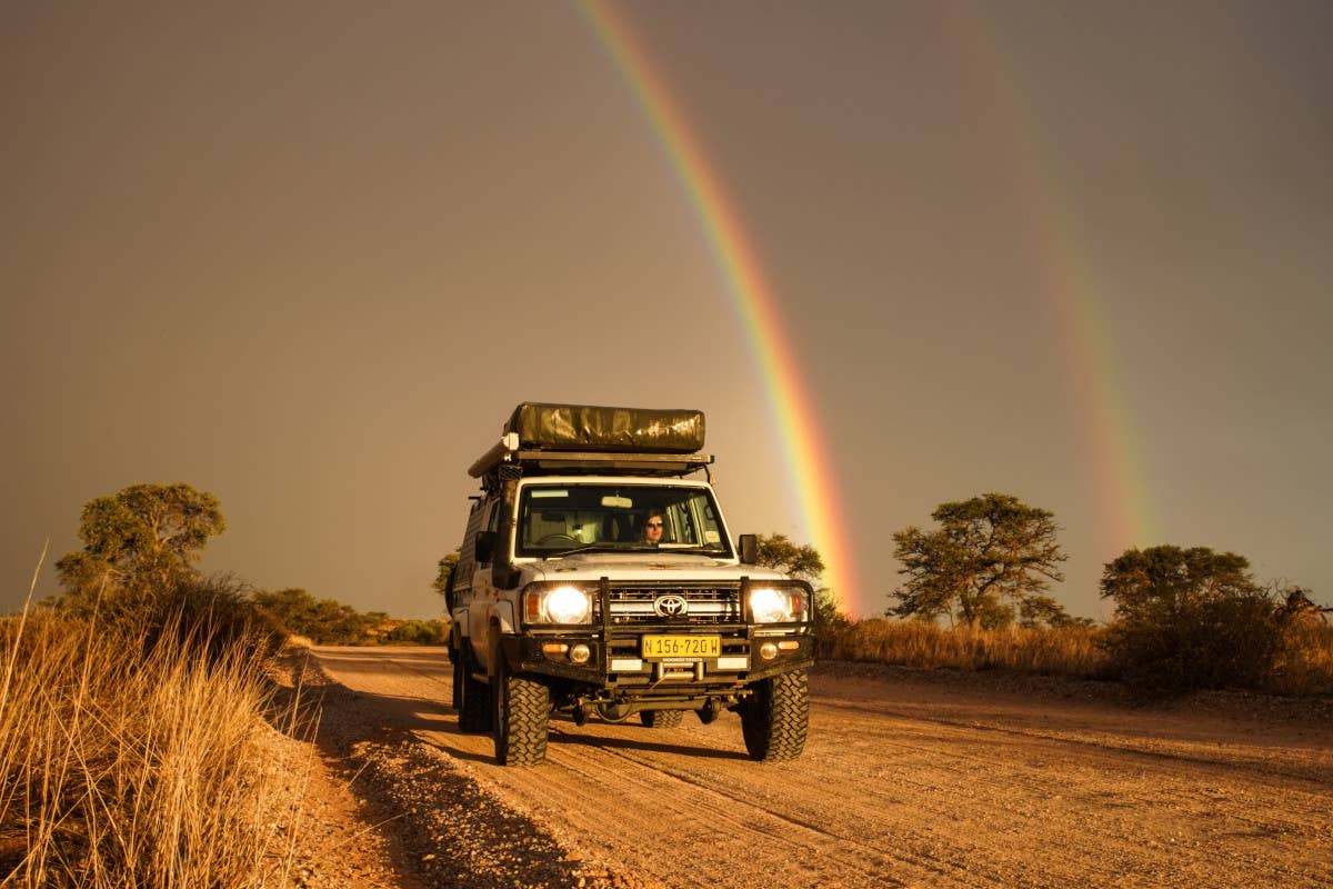 Viaggio nelle terre di Mufasa: un’avventura nella savana del Re Leone