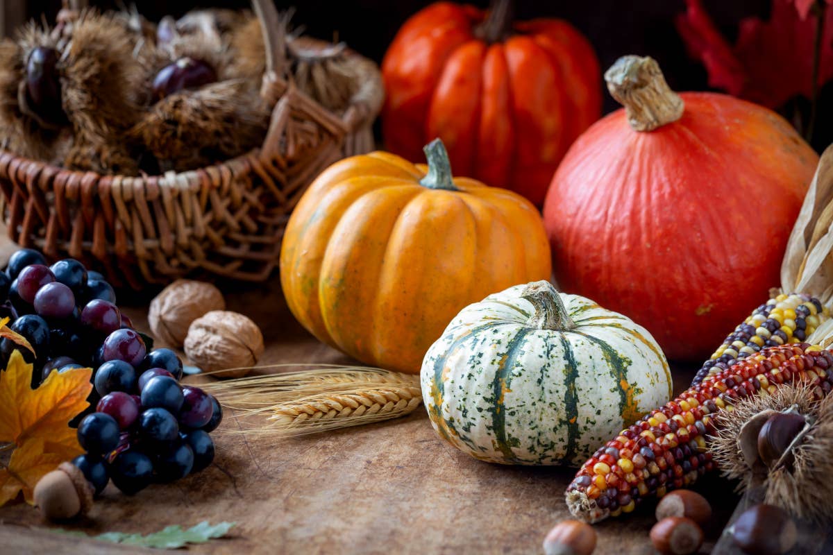 La frutta e la verdura d'autunno che conviene comprare Pannocchie uva e altri affari: la guida dei prezzi dei prodotti autunnali