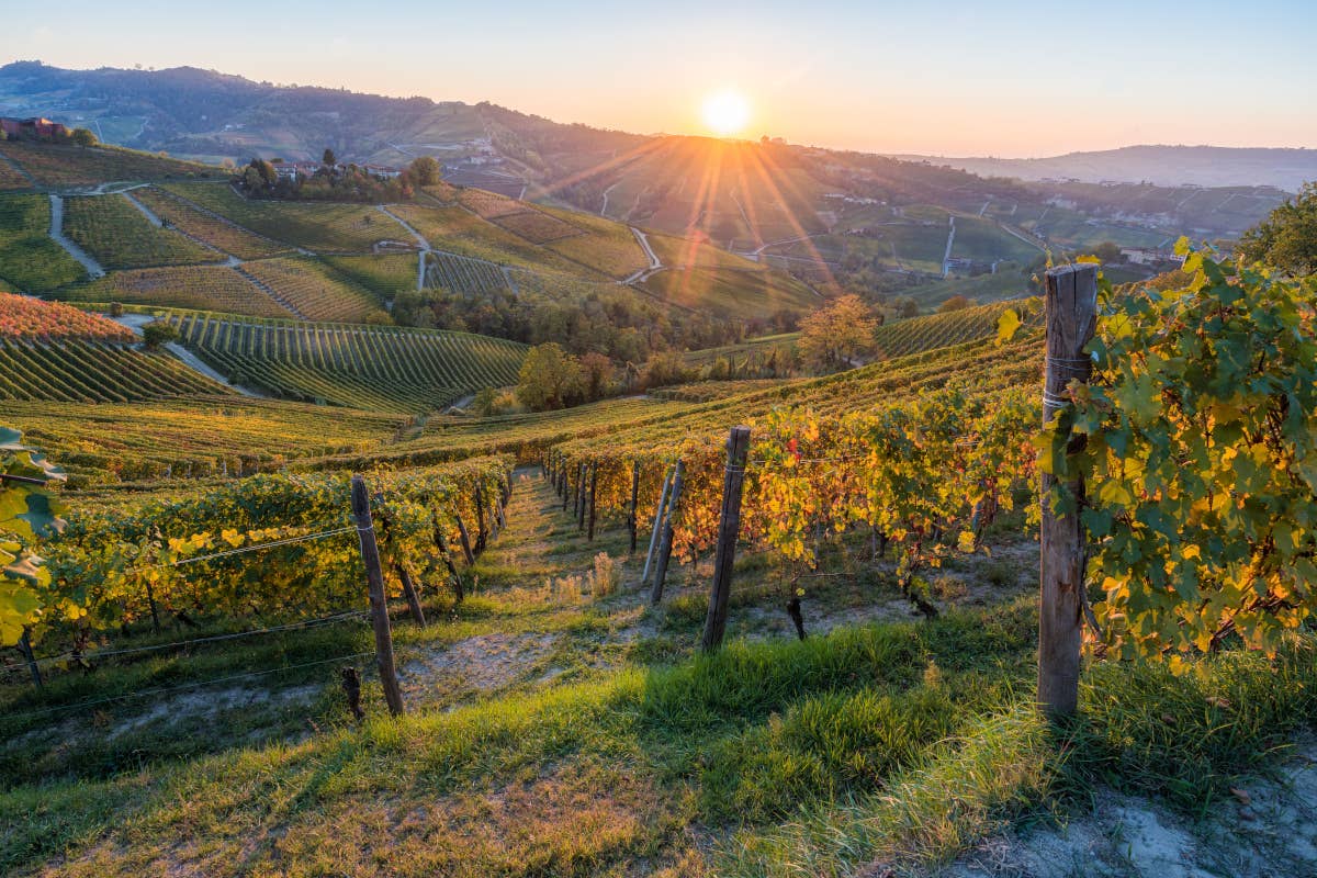 Tre Bicchieri: alla scoperta dei vini premiati dal Gambero Rosso