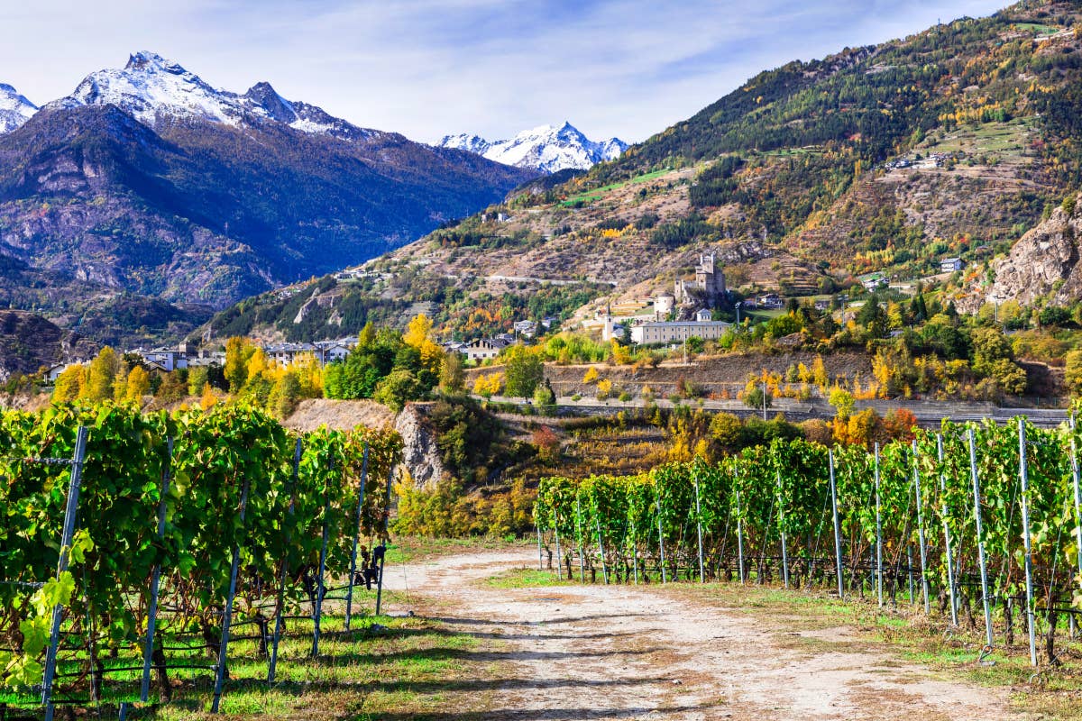 Tre Bicchieri: alla scoperta dei vini premiati dal Gambero Rosso