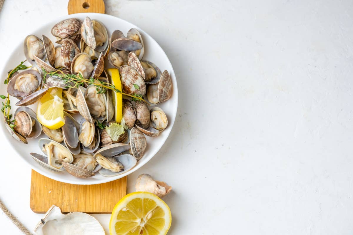 Granchio blu e mucillaggine minacciano le vongole dell'Adriatico Crisi delle vongole in Adriatico per il Granchio Blu e la Mucillagine