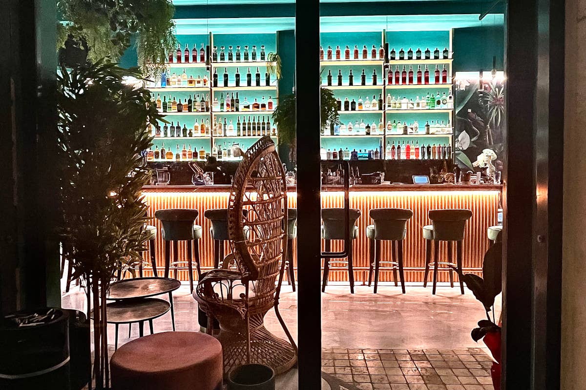 Jigger, il cocktail bar apre a Frascati: atmosfera jungle e sapori innovativi