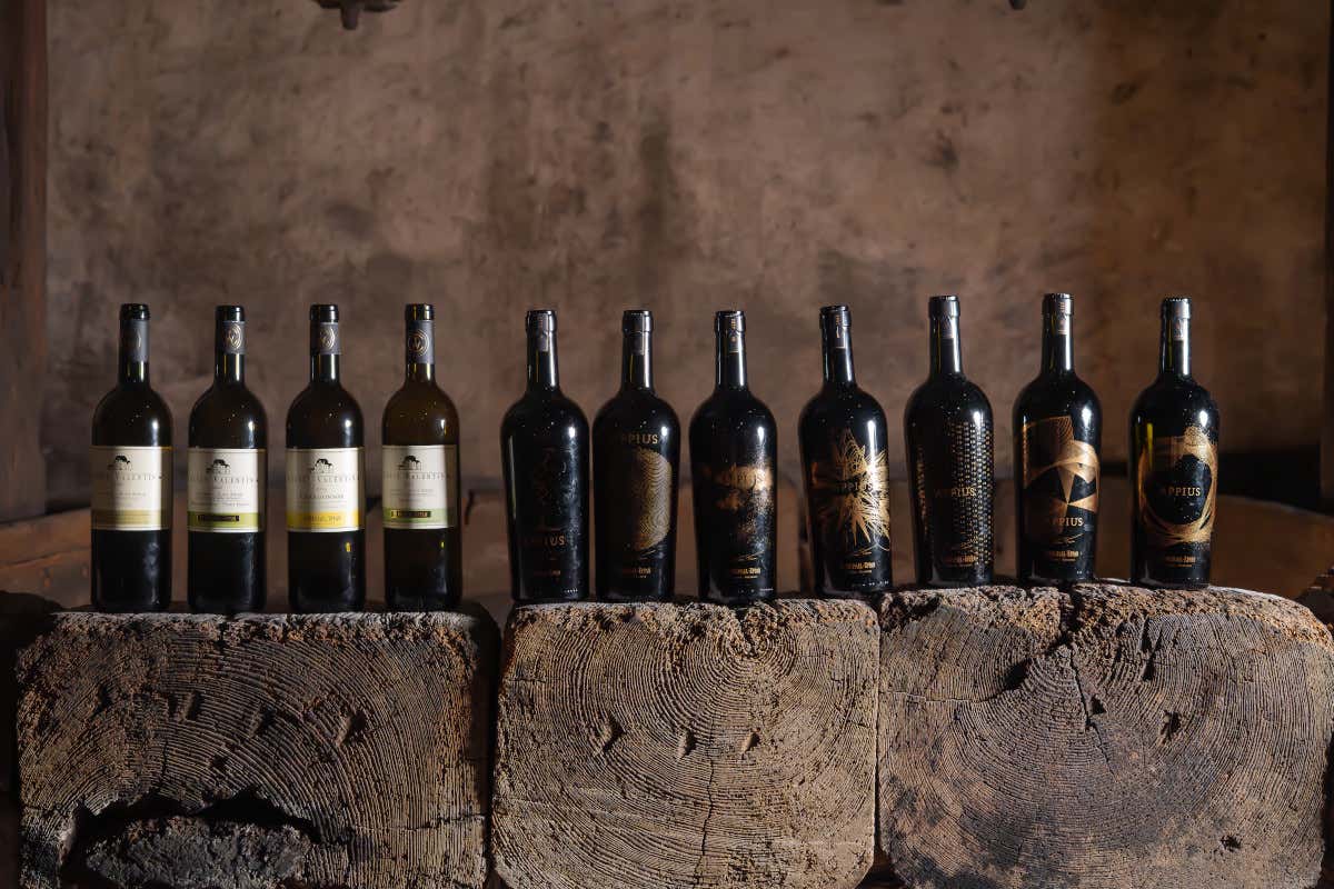 Appius 2021: il 12° apostolo del vino altoatesino firmato San Michele Appiano Appius 2021: il 12° apostolo del vino altoatesino firmato San Michele Appiano