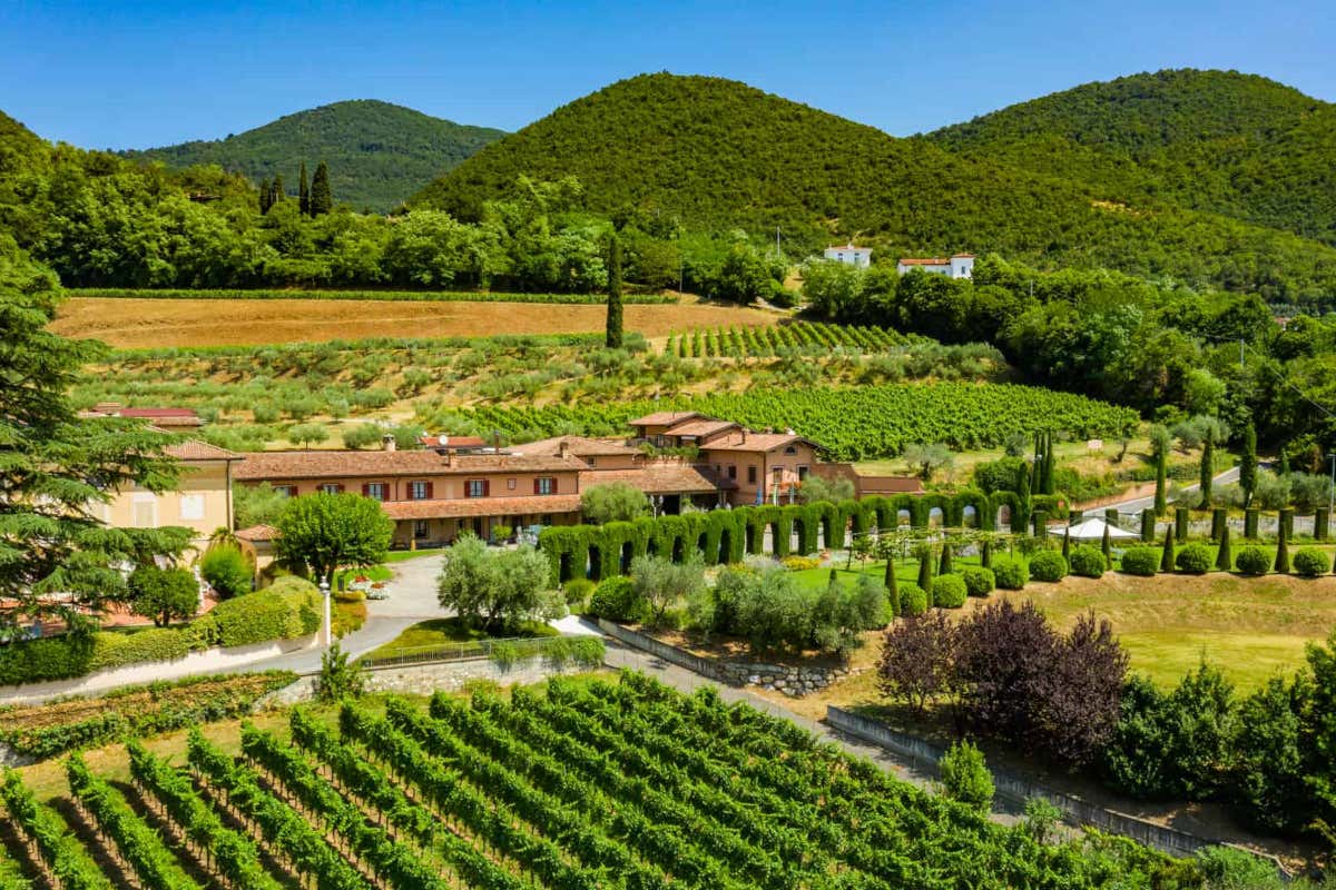 Il tempo come ingrediente segreto: i vini di Montina che sfidano le epoche Il tempo come ingrediente segreto: i vini di Montina che sfidano le epoche