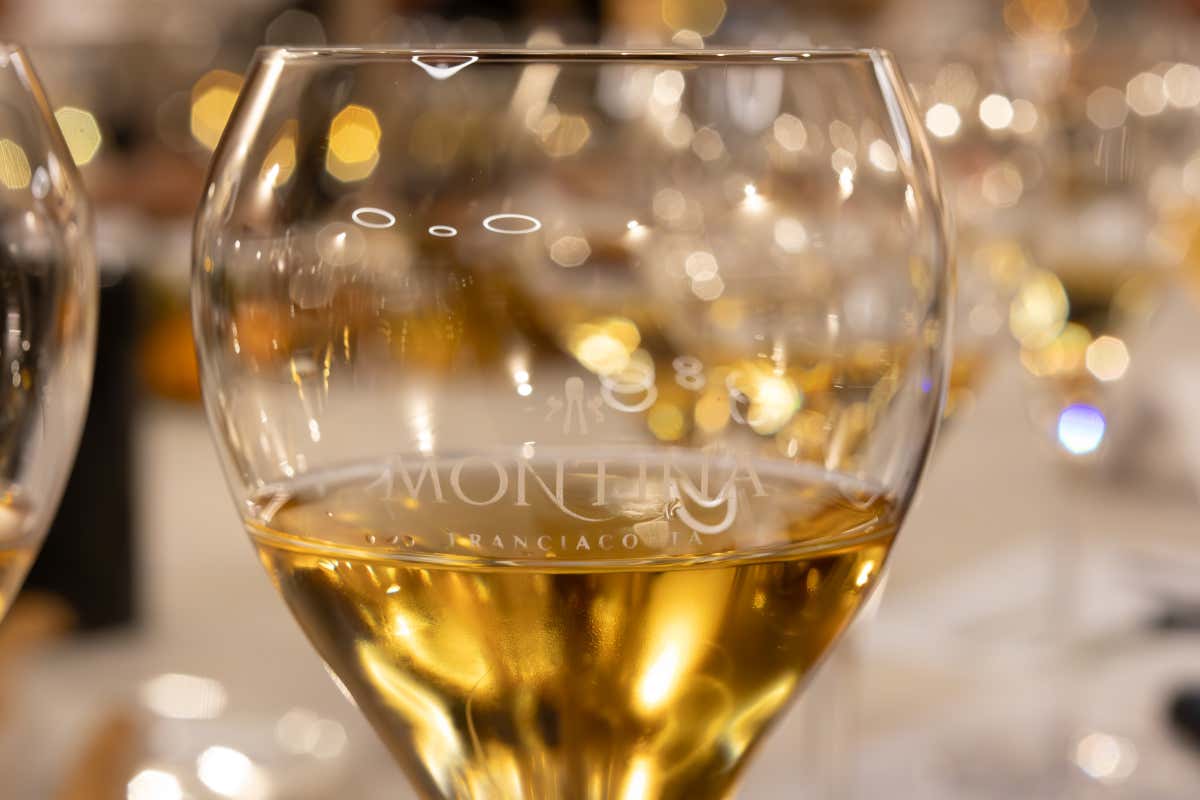 Il tempo come ingrediente segreto: i vini di Montina che sfidano le epoche Il tempo come ingrediente segreto: i vini di Montina che sfidano le epoche