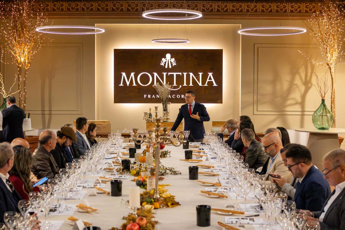 Il tempo come ingrediente segreto: i vini di Montina che sfidano le epoche Il tempo come ingrediente segreto: i vini di Montina che sfidano le epoche