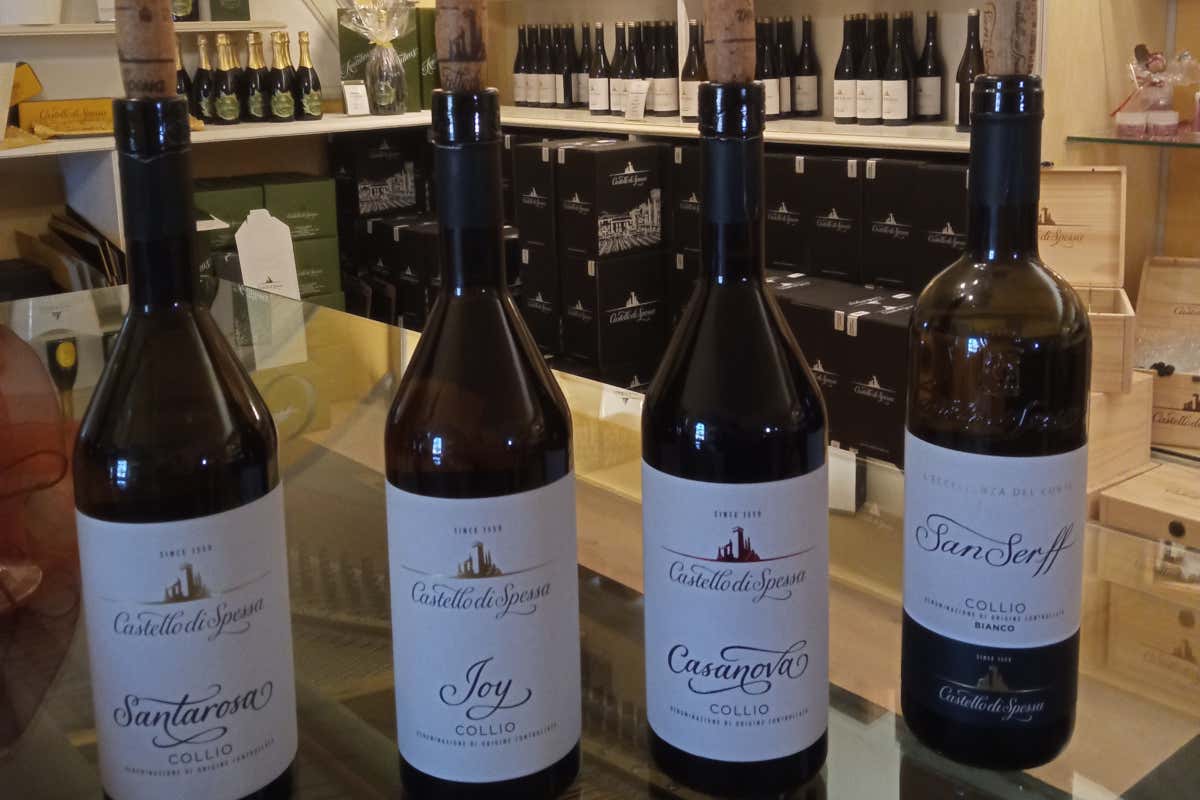 La Vigna dei 3 Pinot al Castello di Spessa: tre varietà, un solo terroir