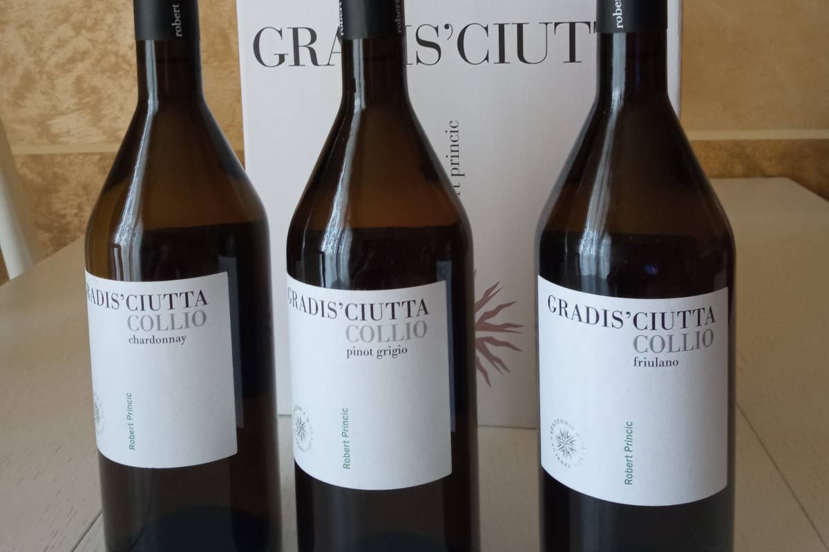 Gradis'ciutta: un'eccellenza vinicola del Collio tra autenticità e territorio