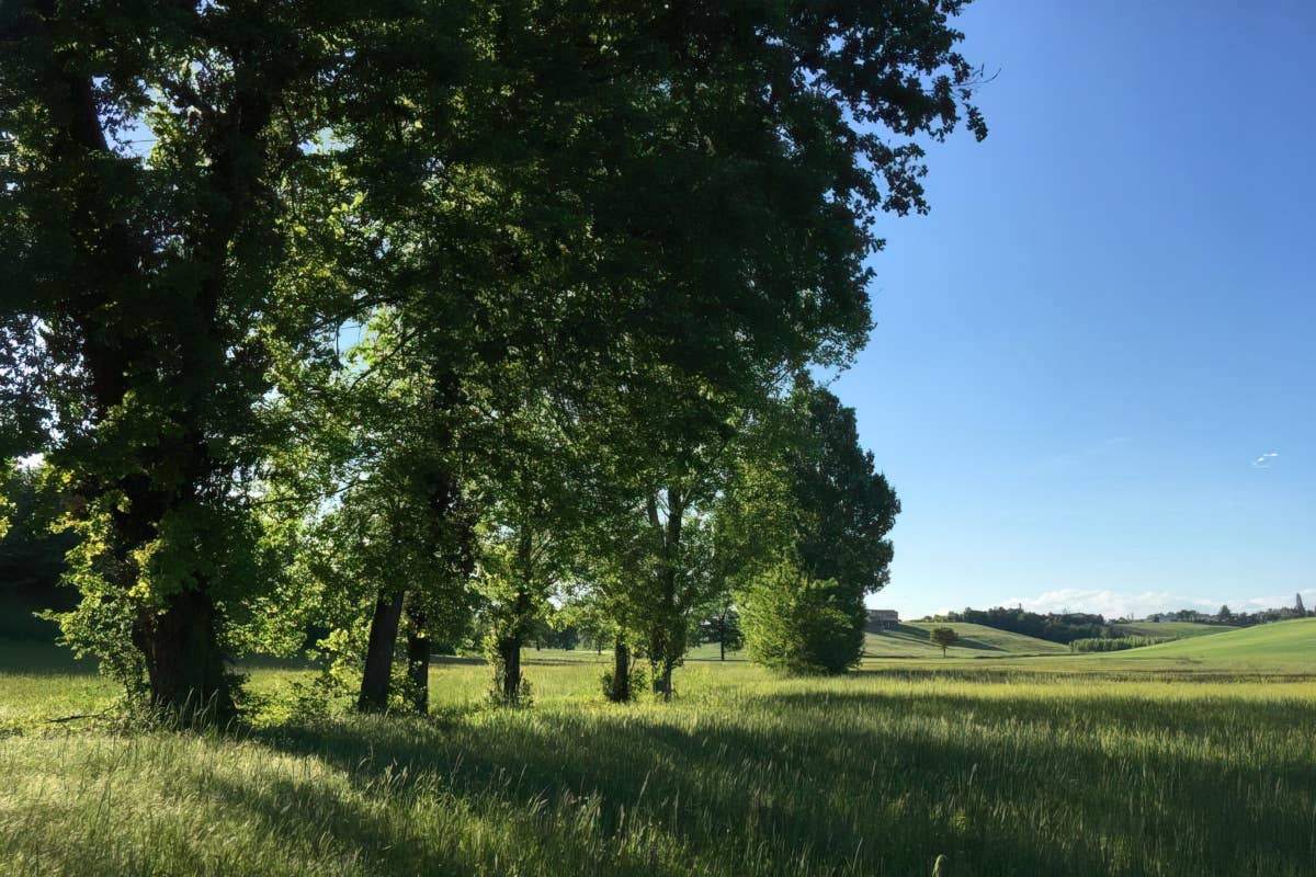 Vini e Tartufo bianco: la Valle Ghenza si presenta a Milano