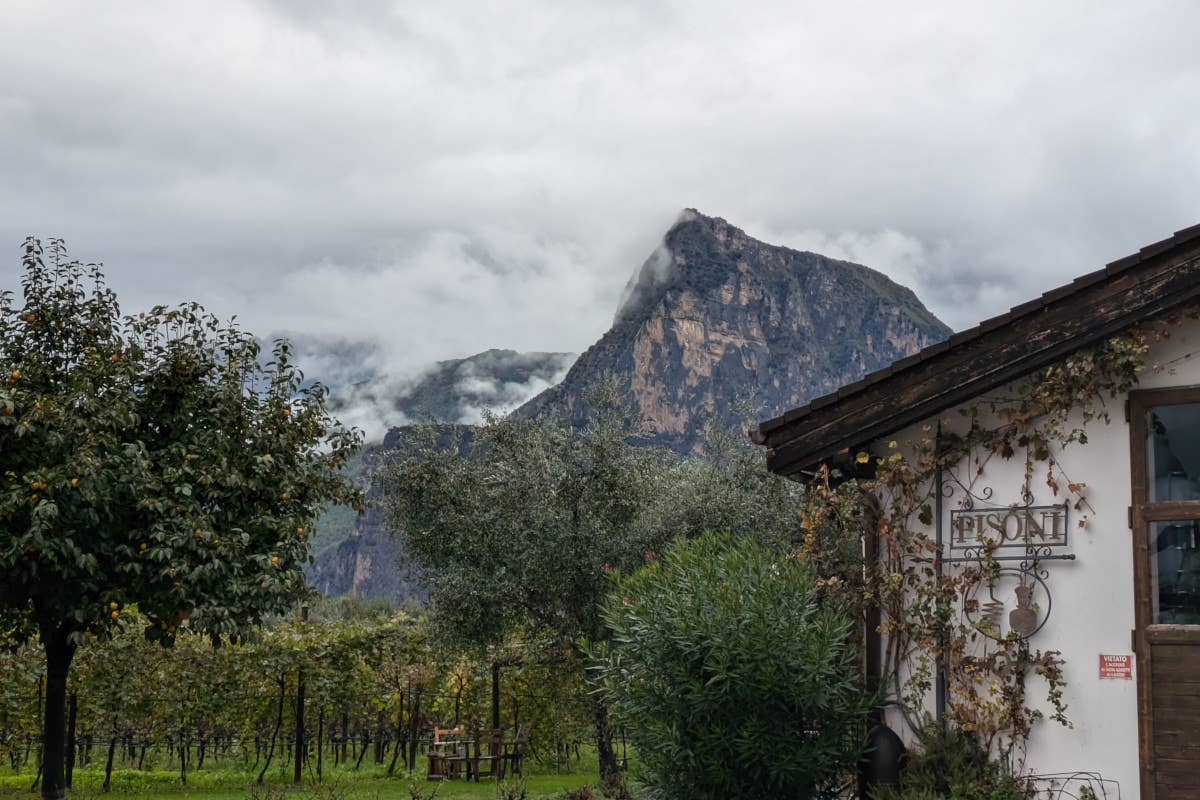 Pisoni: eccellenza artigianale tra Grappa e Metodo Classico