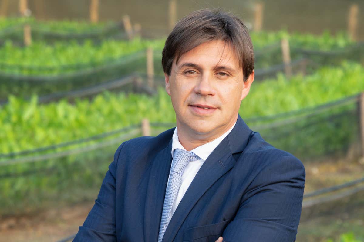 Buone notizie: in arrivo una legge che regola l'allevamento delle chiocciole