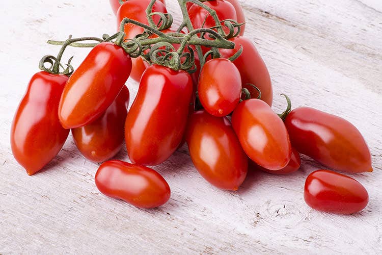 Ad ogni mutazione è stato possibile conferire proprietà organolettiche e nutraceutiche più specifiche - San Marzano ridisegnato Nuovi colori e nuovi sapori