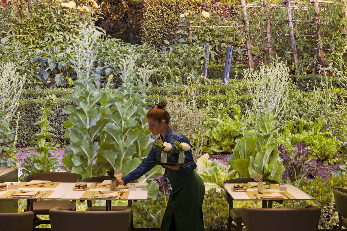 Starhotels E.c.ho., l'hotel ecologico di Milano che ha anticipato il futuro Starhotels E.c.ho., l'hotel ecologico di Milano che ha anticipato il futuro