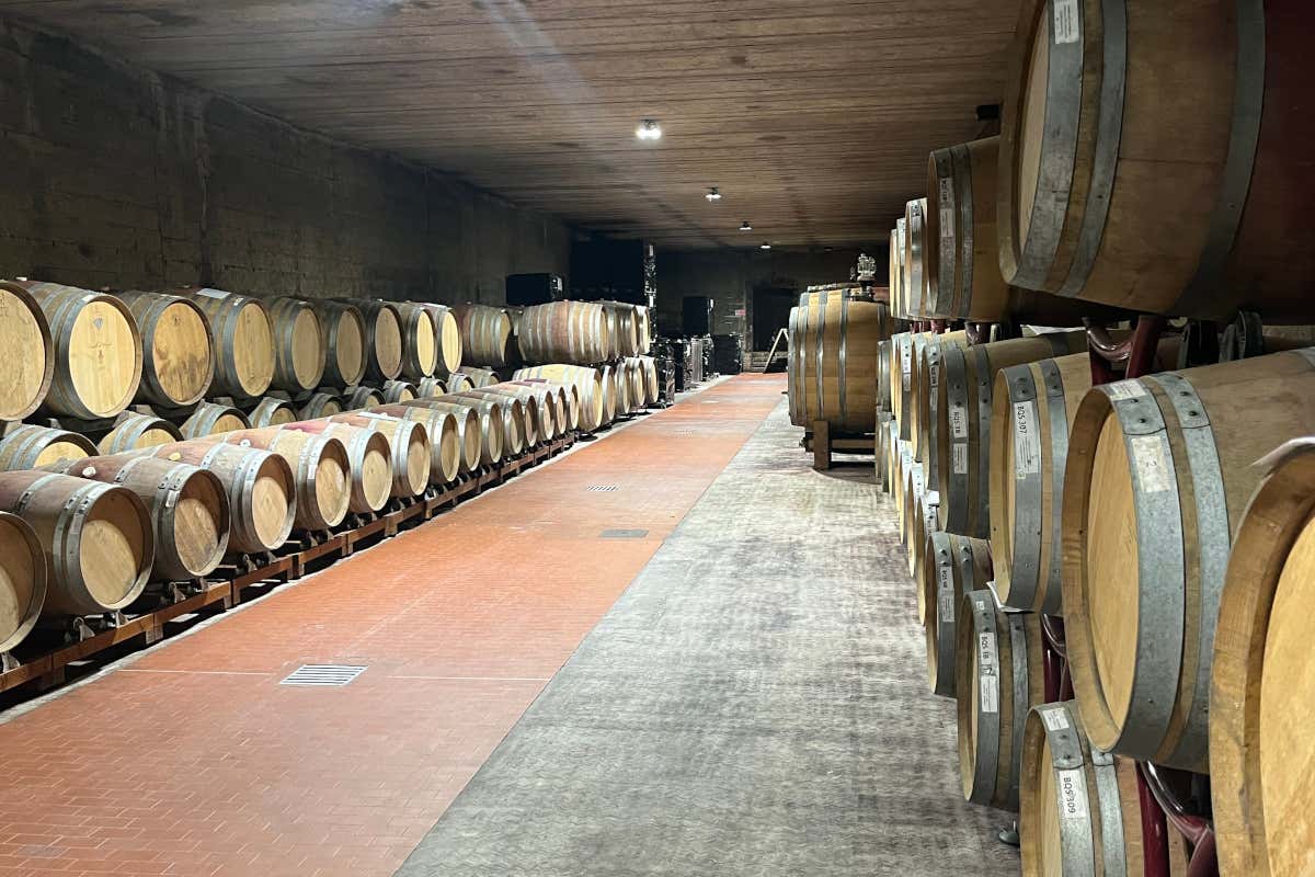 Cantina Castello di Uviglie: una storia tra vino, territorio e famiglia nel Monferrato Cantina Castello di Uviglie: una storia tra vino, territorio e famiglia nel Monferrato