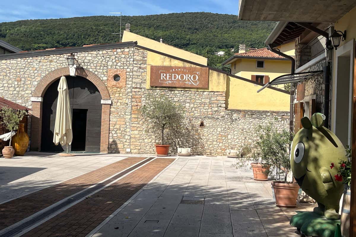 Meno olive, più qualità: come le stagioni complicate esaltano l’olio evo Meno olive, più qualità: come le stagioni complicate esaltano l’olio evo