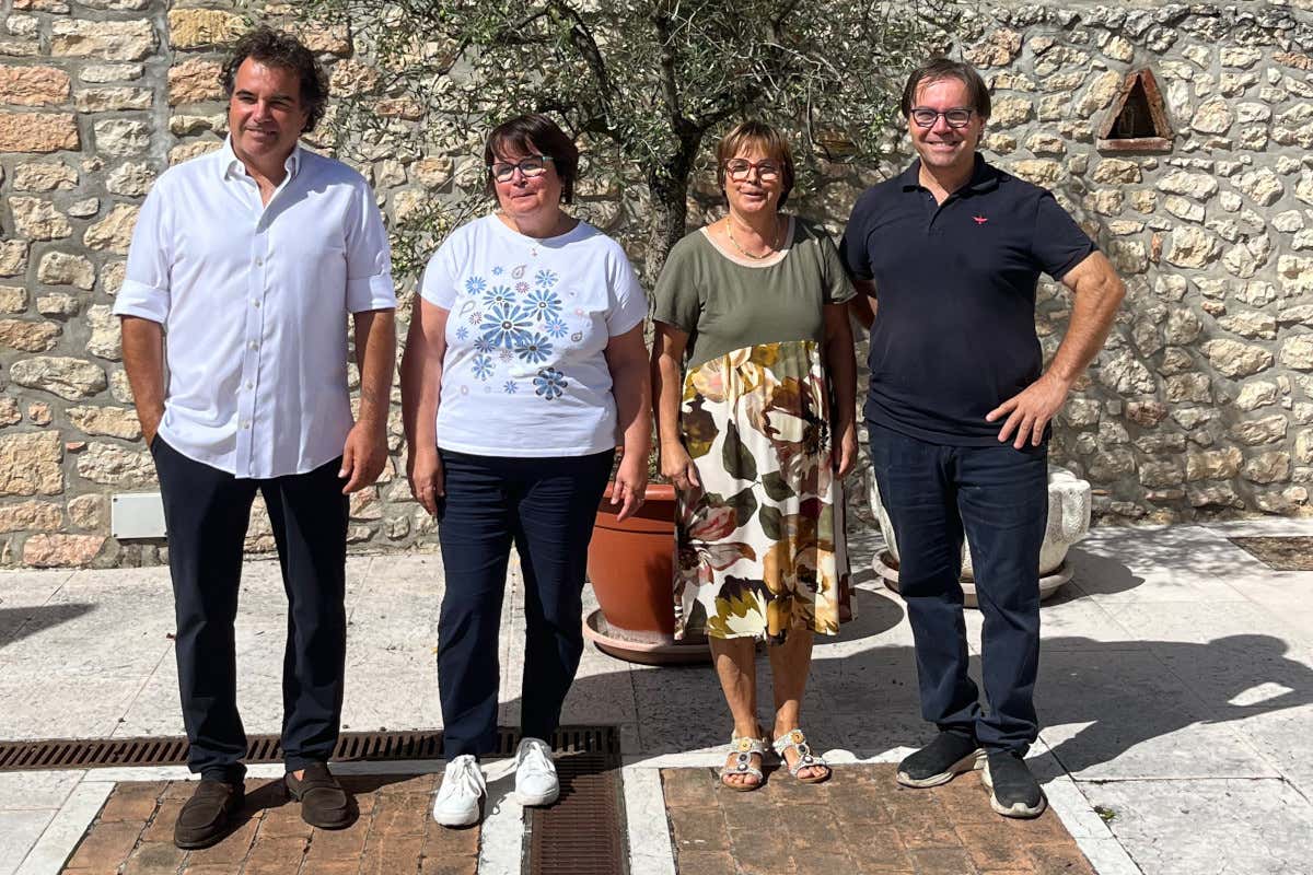 Meno olive, più qualità: come le stagioni complicate esaltano l’olio evo Meno olive, più qualità: come le stagioni complicate esaltano l’olio evo