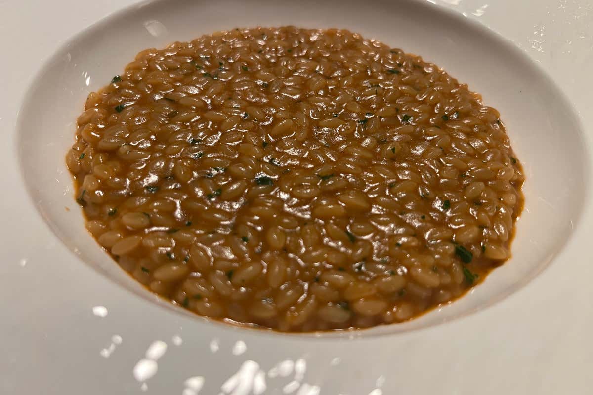 Silvestro, il ristorante di Monza che gioca col tempo e coi sapori Silvestro, il ristorante di Monza che gioca col tempo e coi sapori