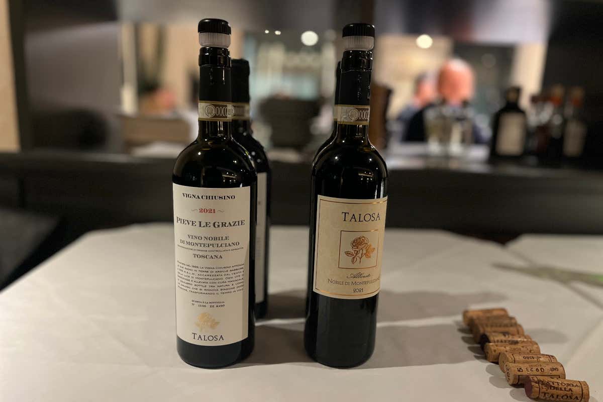 Talosa, ecco come cambia il Vino Nobile di Montepulciano tra sabbia e argilla Talosa, ecco come cambia il Vino Nobile di Montepulciano tra sabbia e argilla