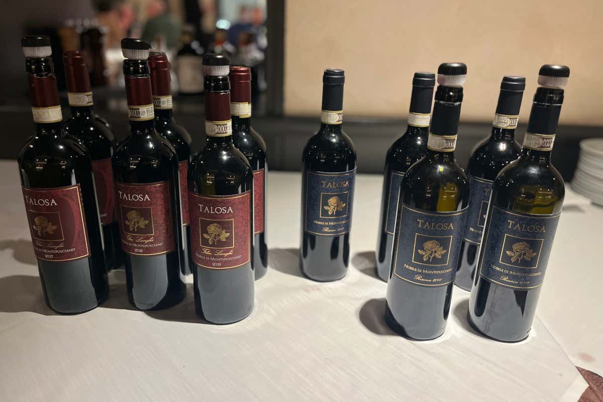 Talosa, ecco come cambia il Vino Nobile di Montepulciano tra sabbia e argilla Talosa, ecco come cambia il Vino Nobile di Montepulciano tra sabbia e argilla