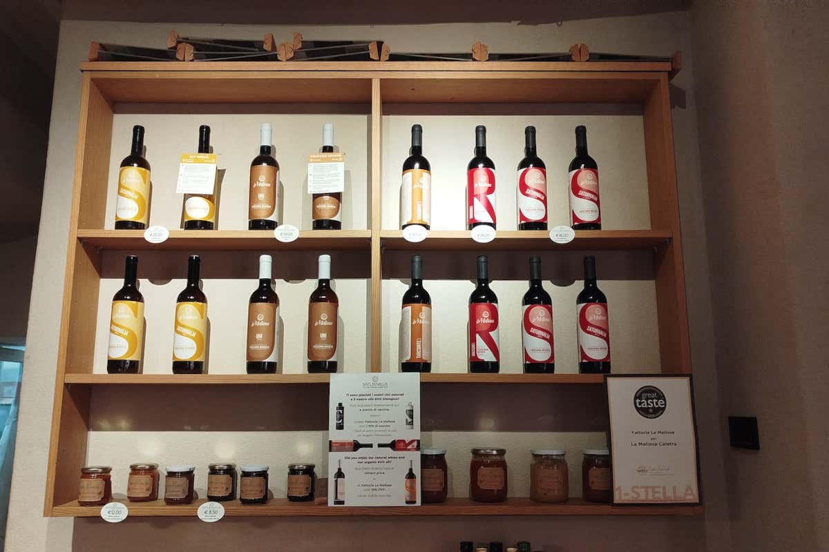 Nella Maremma grossetana il vino nasce in un ecosistema di filari, boschi e oliveti