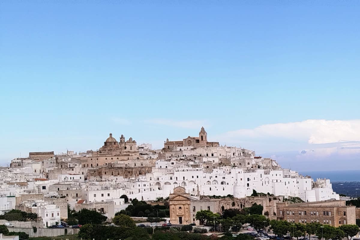 Amalberga: vini e tradizione per valorizzare la Doc Ostuni e la Valle d'Itria