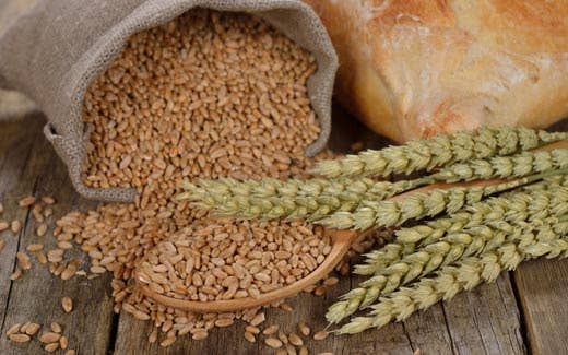 Prezzi, +1450% dal grano al pane 
Agricoltori in protesta al porto di Bari