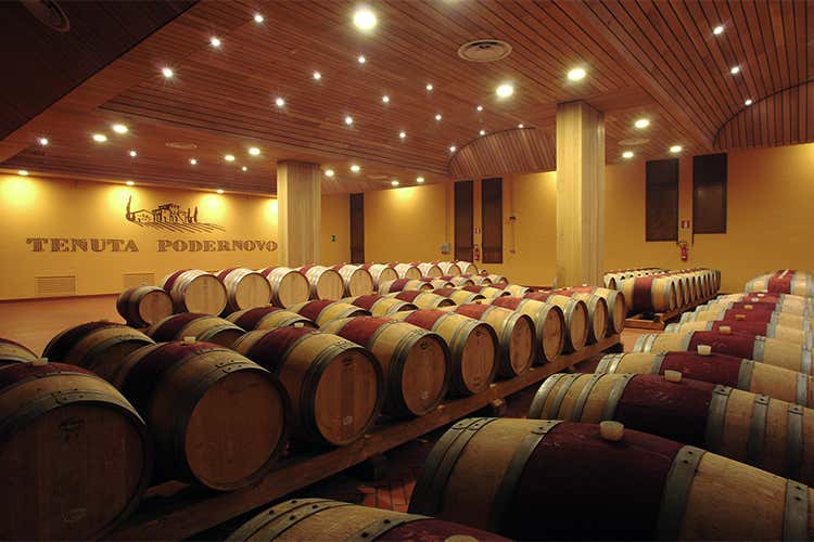 La Toscana secondo i Lunelli Podernovo è vino, natura e buona cucina La Toscana secondo i Lunelli Podernovo è vino, natura e buona cucina