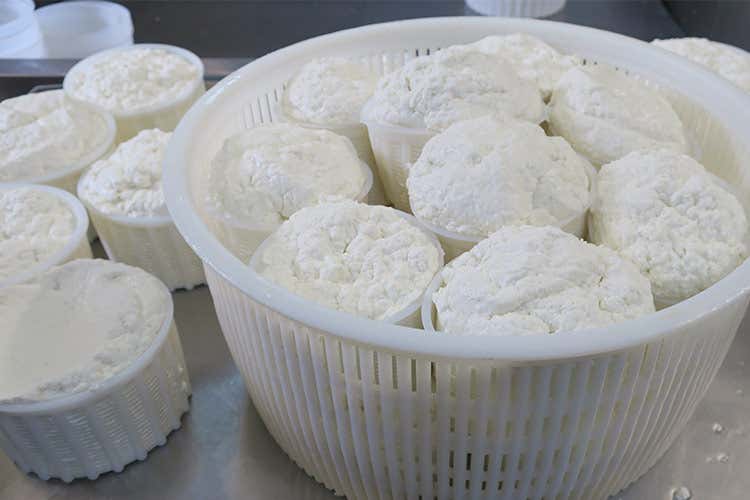 Mozzarella - Il Tre Latti della famiglia Tripi Formaggio tradizionale da spalmare