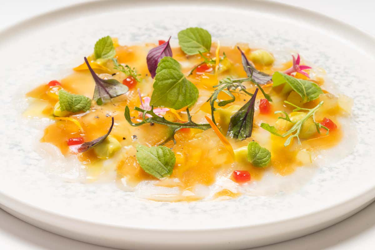 Benessere e cucina stellata: Casa de Campo reinventa l'ospitalità di lusso ai Caraibi